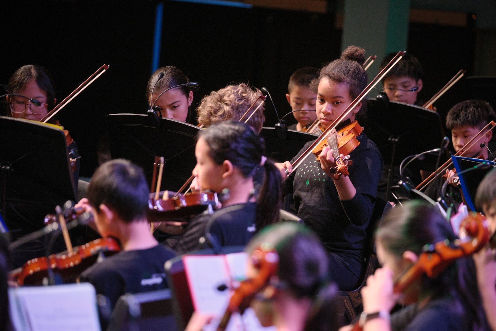 North Shore Stringalongs performing